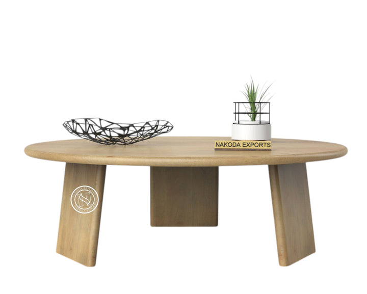 Oval Modern Coffee Table