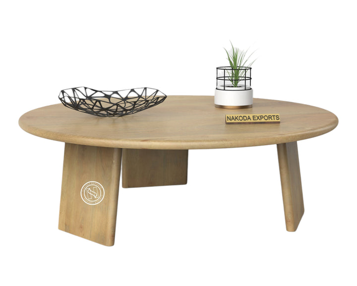 Oval Modern Coffee Table