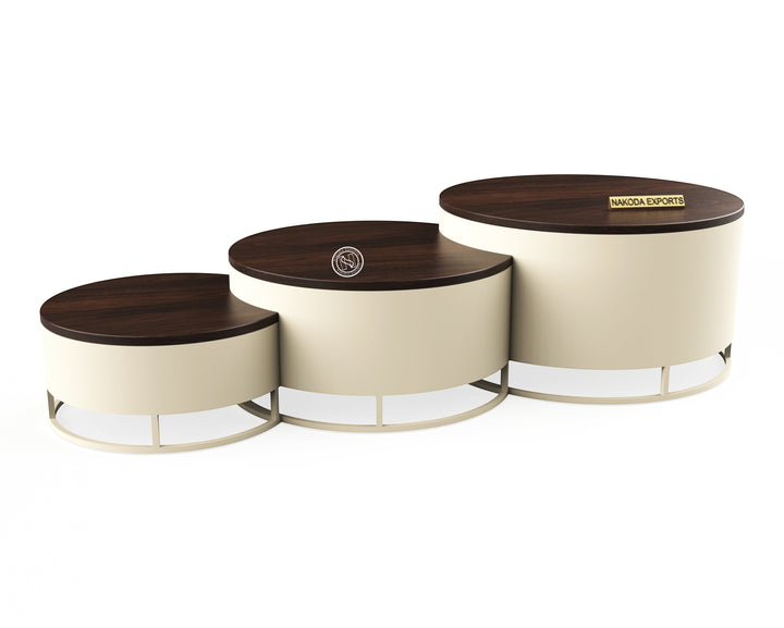 Elegant Nested Coffee Table Set